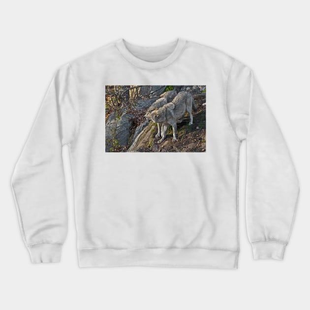 Timber Wolf Crewneck Sweatshirt by jaydee1400